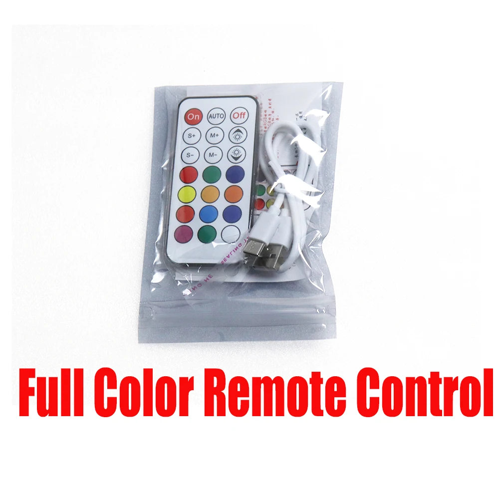 TEMLASER LED Control remoto/zancos disfraz de andador luces LED chaqueta luminosa actuación de baile en escenario/controlador LED