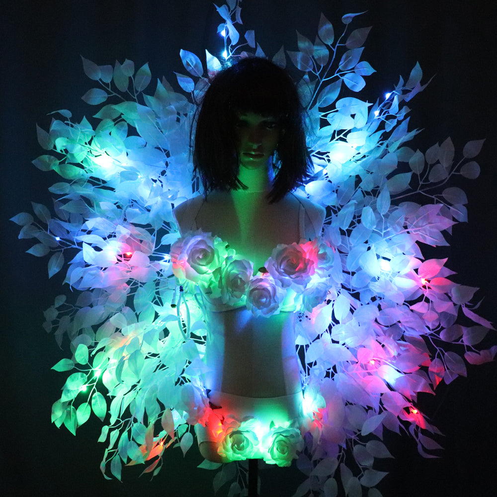 Colorful Back Frame Background Plate Sexy Costumes Women LED Luminous Bra Shorts Sexy Suit
