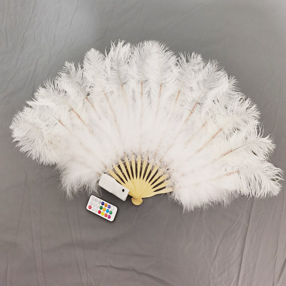 Full Color Ostrich Feathers LED Fan Performance Dancing Lights Fans Night Show Singer DJ Costumes Halloween Party Gifts