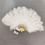 Carica l&#39;immagine nel visualizzatore di Gallery, Full Color Ostrich Feathers LED Fan Performance Dancing Lights Fans Night Show Singer DJ Costumes Halloween Party Gifts

