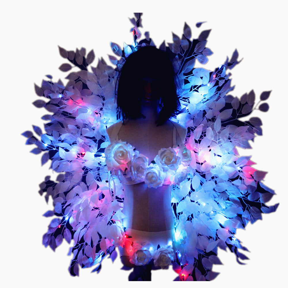 Colorful Back Frame Background Plate Sexy Costumes Women LED Luminous Bra Shorts Sexy Suit