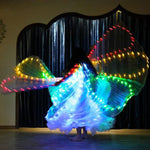 Carica l&#39;immagine nel visualizzatore di Gallery, Isis Wings Belly Dance Led Dance Stick Led Butterfly Wing Opening Adulti Lampada Props 360 Gradi Prestazioni Accessori
